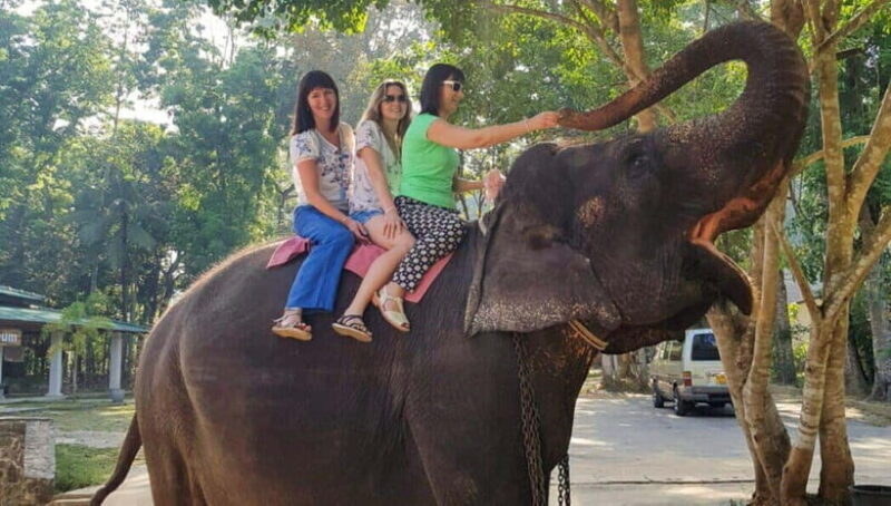 Pinnawala,Kandy Day Tour from Colombo/Negombo - In-Depth Review of the Pinnawala, Kandy Day Tour