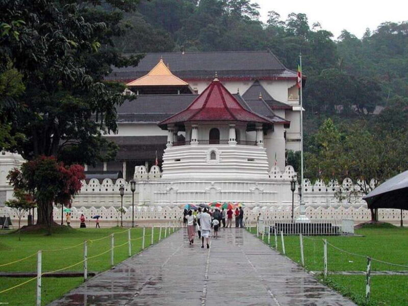 Pinnawala,Kandy Day Tour from Colombo/Negombo - FAQ