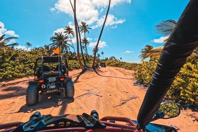 Piñones Beach Buggy + El Yunque Waterfall Adventure - A Deep Dive into This Adventure Tour