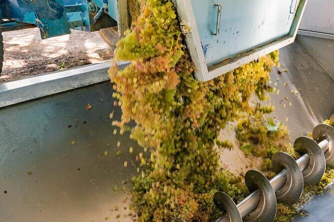 Pinot Noir & Pinot Wine Tour to Baden-Württemberg - A Deep Dive Into the Baden-Württemberg Pinot Wine Tour