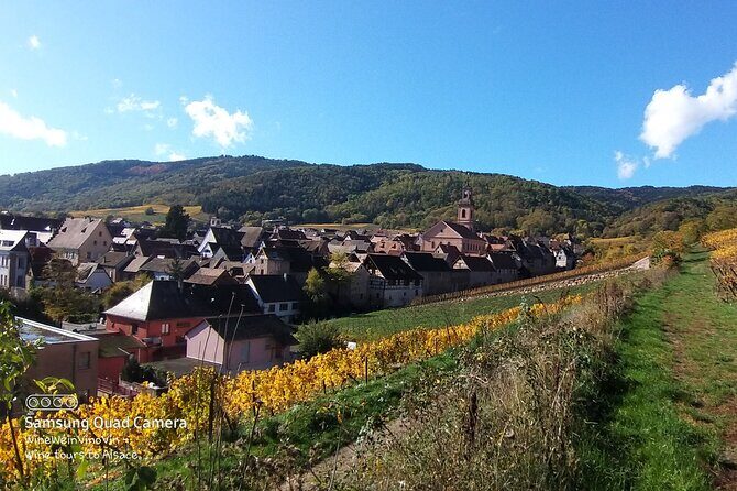 Pinot Noir & Pinot Wine Tour to Baden-Württemberg - Practical Tips for Future Wine Enthusiasts