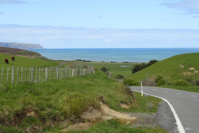 "Pinot to Palliser tour" - Guided tour to Cape Palliser vith lunch + winetasting - A Closer Look at the Pinot to Palliser Tour