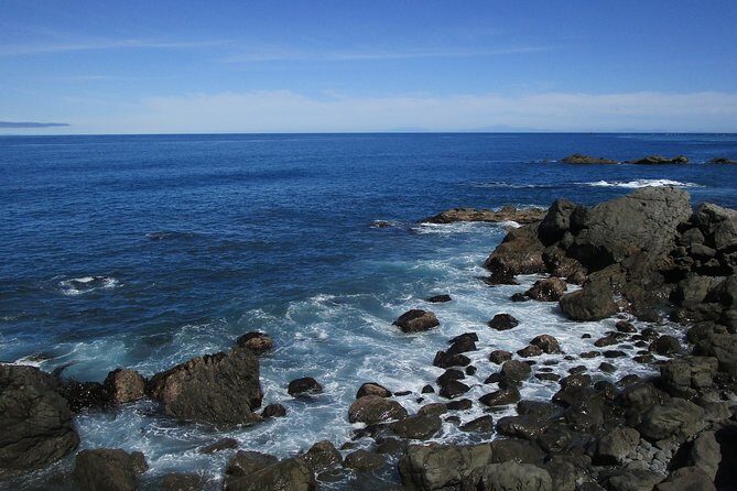 "Pinot to Palliser tour" - Guided tour to Cape Palliser vith lunch + winetasting - FAQ