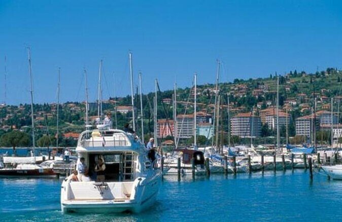 Piran and Scenic Slovenian Coast - Private Tour from Trieste - An In-Depth Look at the Tour