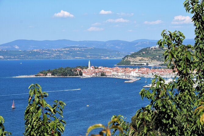 Piran & Panoramic Slovenian Coast from Trieste - Who Would Love This Tour?
