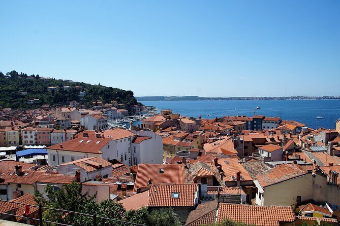 Piran & Panoramic Slovenian Coast - Small Group Tour from Koper - Food and Wine Experiences