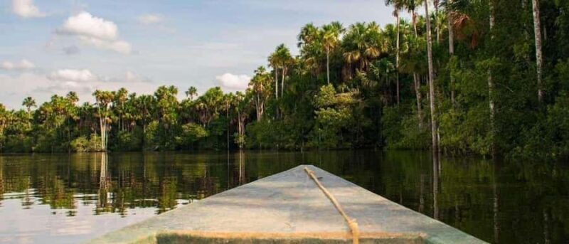 PIRANHA FISHING IN TAMBOPATA - Final Thoughts on Piranha Fishing in Tambopata