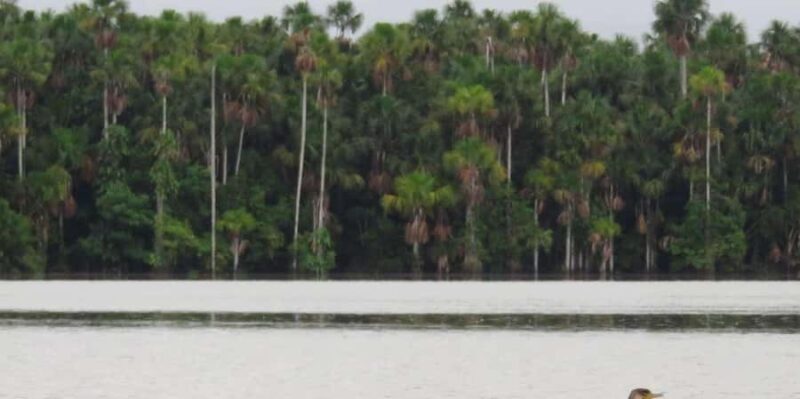 PIRANHA FISHING IN TAMBOPATA - FAQ