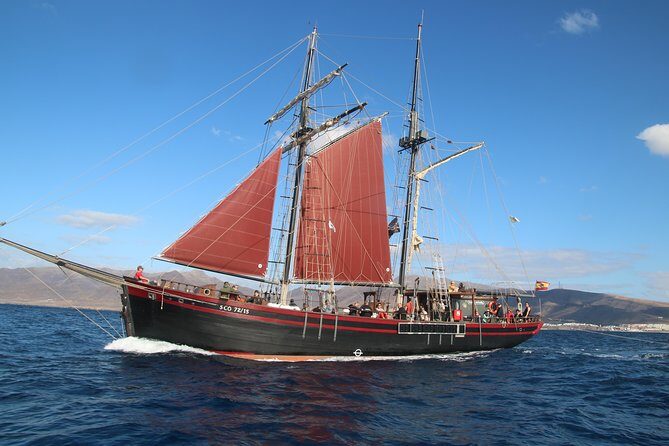 Pirate Adventure Boat Tour with Lunch in Fuerteventura - FAQ: Your Practical Questions Answered