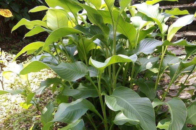 Pirates and Beach Tour with Detention Tours - Key Points