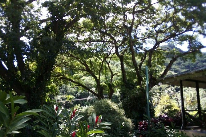 Pirates and Beach Tour with Detention Tours - Frequently Asked Questions (FAQ)