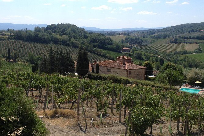 Pisa & Florence highlights shore excursion from Livorno port - Who Should Consider This Tour?