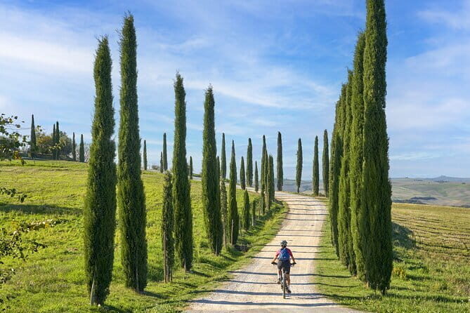 Pisa, Siena and San Gimignano Day Trip with Lunch & Wine Pairing - Who Is This Tour Best For?