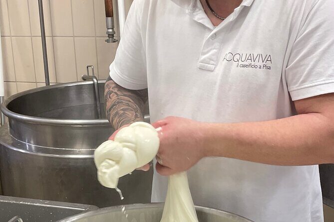 Pisa Small Group Cheese Making & tasting experience (max 6people) - The Heart of Pisa’s Culinary Experience