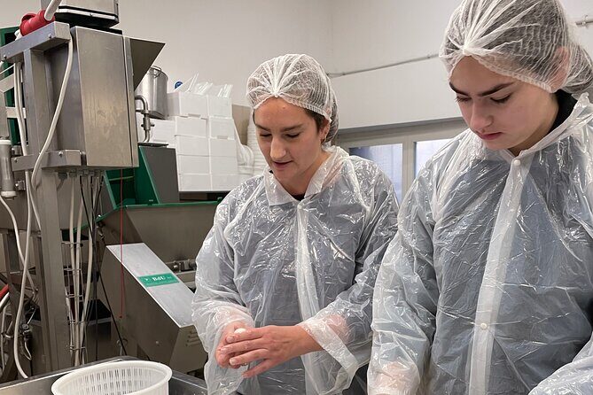 Pisa Small Group Cheese Making & tasting experience (max 6people) - FAQs