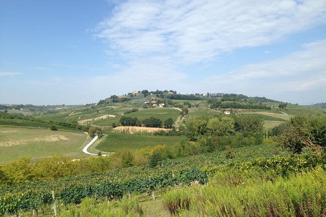 Pisa, Volterra and San Gimignano Private Tour from Florence - Why This Tour Is Worth It