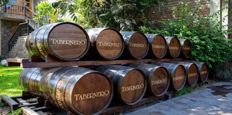 Pisco and Wine Tasting Tour, Pisco/private - Deep Dive Into the Itinerary