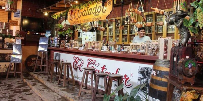 Pisco and Wine Tasting Tour, Pisco/private - Who Should Consider This Tour?