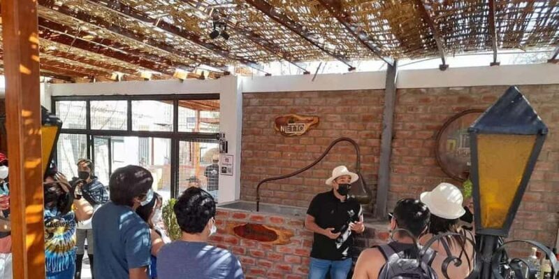 Pisco and Wine Tasting Tour, Pisco/private - FAQ