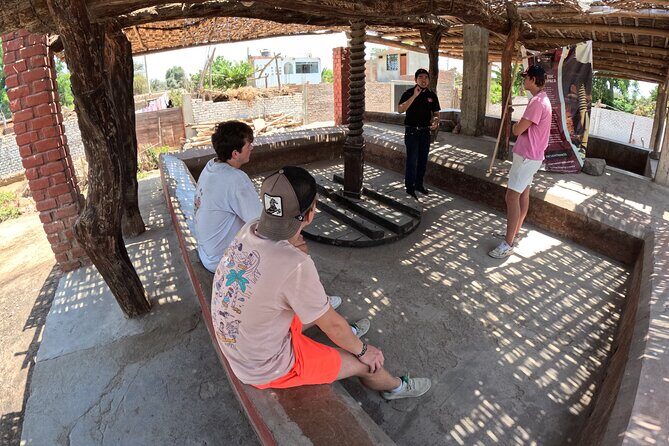 Pisco Route, Buggies and Sandboarding in the Ica Desert from Paracas - Experience the Best of Ica: Pisco, Vineyards, and Desert Adventures from Paracas