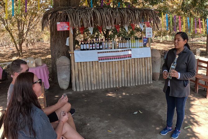 Pisco Route, Buggies and Sandboarding in the Ica Desert from Paracas - FAQs