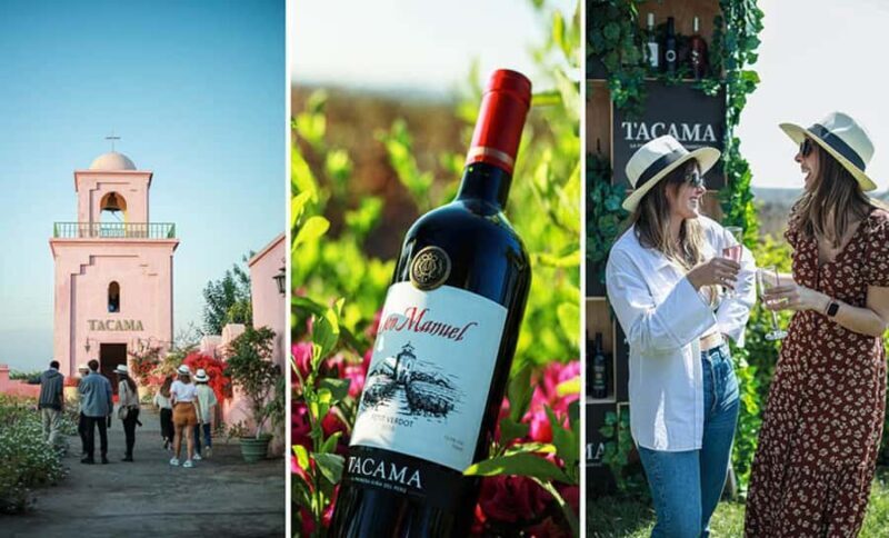 Pisco route | tasting | experience in the desert - Exploring the Pisco Route in Ica: An In-Depth Guide