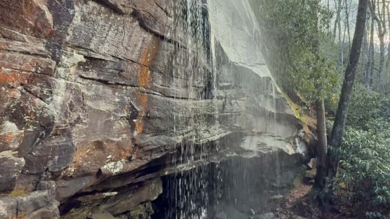 Pisgah Forest, NC: Waterfall Adventure Tour - Final Thoughts: Is It Worth It?