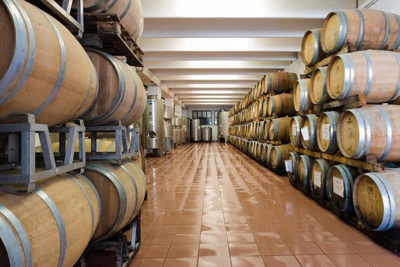 Pisoni: Stories of wine and flavors - Who should consider this tour?