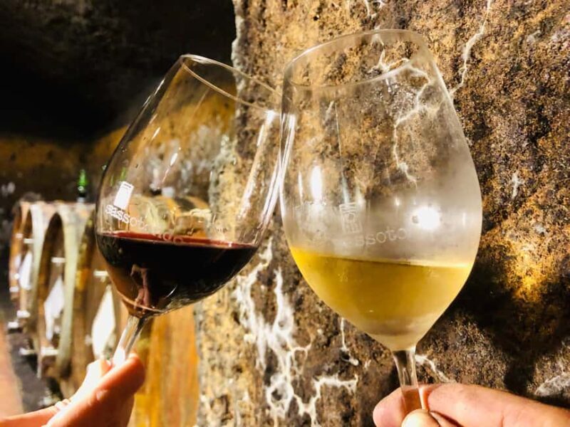 Pitigliano: Ciliegiolo Grape Wine Tasting - Exploring the World of Ciliegiolo at Sassotondo