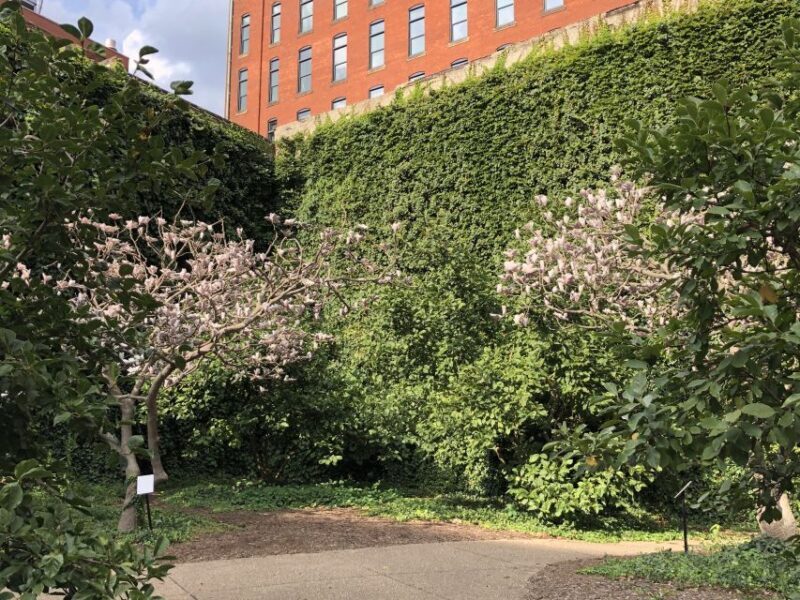 Pittsburgh: Best of the Burgh History and Architecture Tour - FAQ