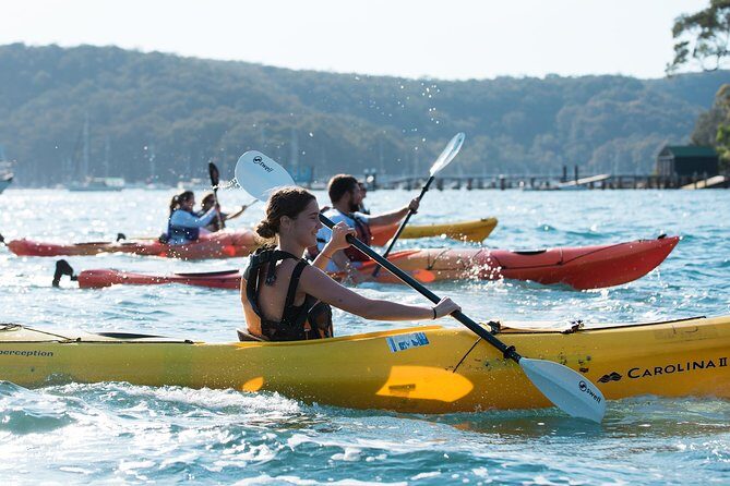 Pittwater Discovery Kayaking Tour - Discover the Scenic Waters of Pittwater with a Guided Kayaking Tour