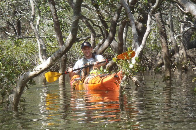 Pittwater Discovery Kayaking Tour - Key Points