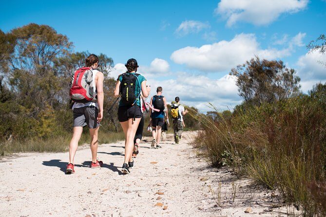 Pittwater Discovery Kayaking Tour - The Sum Up: Who Will Love It?