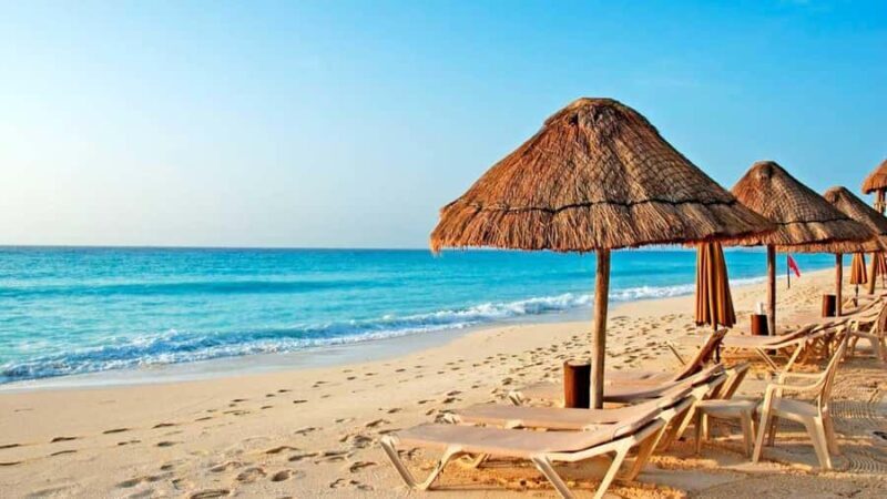 Piura: Adventure in Mancora with Underwater Turtle Encounter - Key Points