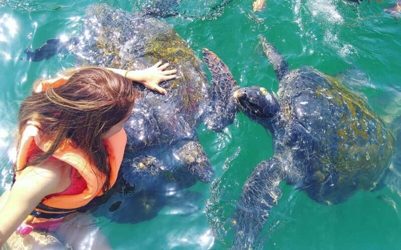 Piura: Excursion to Mancora and Swimming with turtles - Key Points