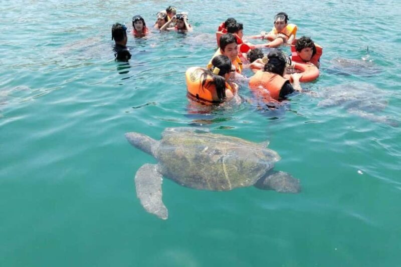 Piura: Excursion to Mancora and Swimming with turtles - FAQ