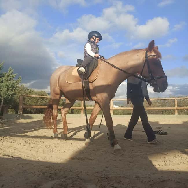 Plakias: Horse Riding Lesson - The Itinerary: What Does a Typical Session Look Like?