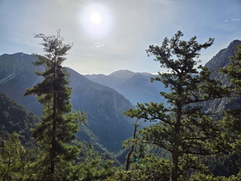 Platanias: Discover Samaria with professional hiking guide! - Authentic Experience in Crete’s Wild Heart