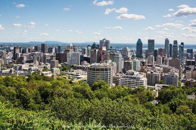 Plateau Mont Royal & The Mile End: Private 2.5-hour Walking Tour - The Sum Up