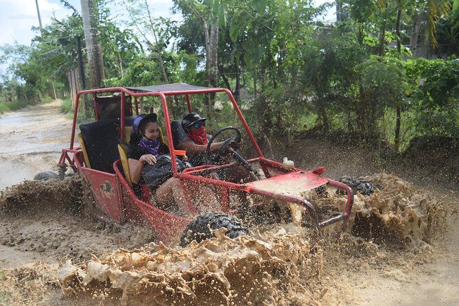 Platinum Buggy Adventure - A Deep Dive into the Platinum Buggy Adventure Experience