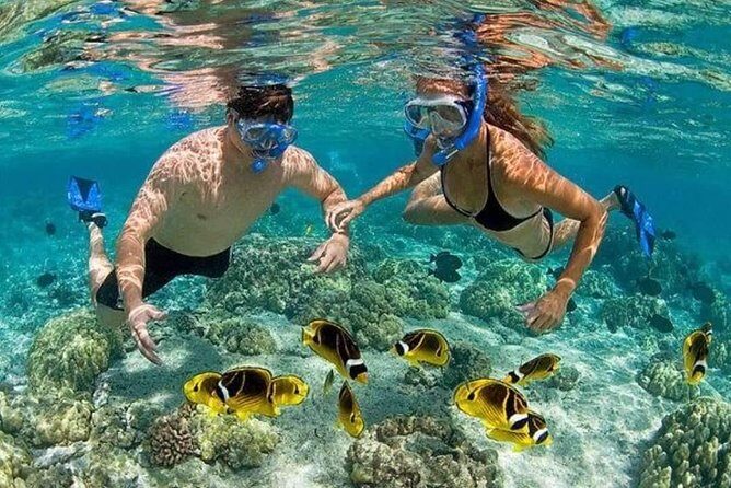 Platinum Snorkeling Catamaran Excursion with Open Bar - Return and Reflection