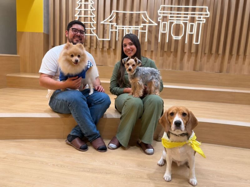 Play with Dogs at Dog Cafe Rio Asakusa [Dog Cafe Rio Asakusa] - The details to know before you book