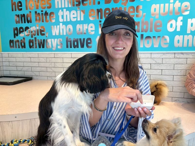Play with Dogs at Dog Cafe Rio Harajuku[Dog Cafe Rio Harajuku] - How to Get the Most from the Dogs