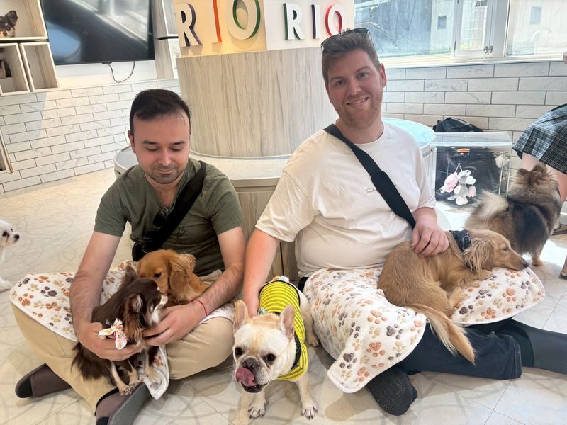 Play with Dogs at Dog Cafe Rio Harajuku[Dog Cafe Rio Harajuku] - Cleanliness, Service, and Animal-Welfare Questions