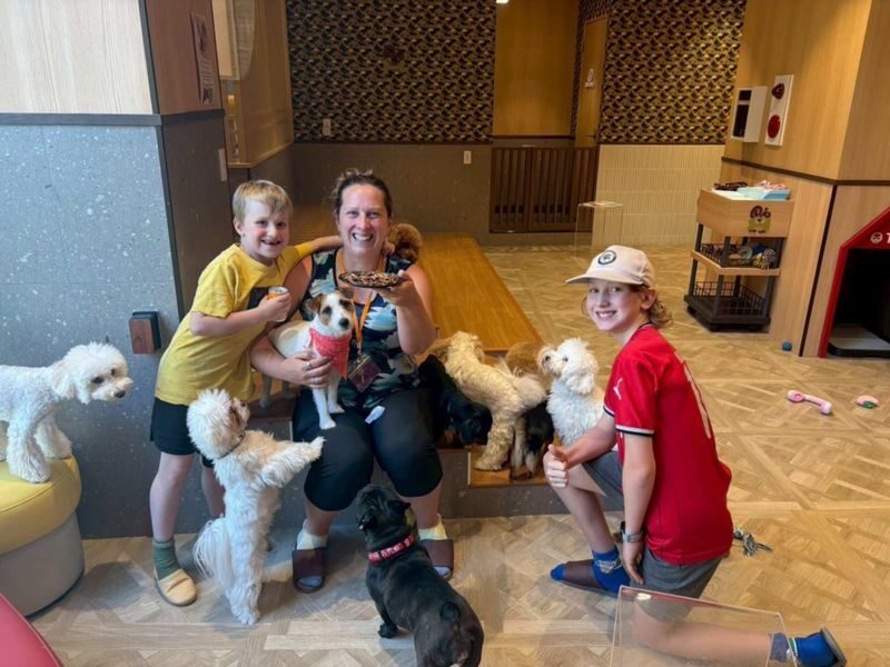 Play with Dogs at Dog Cafe Rio Kyoto[Dog Cafe Rio Kyoto] - Key points before you book