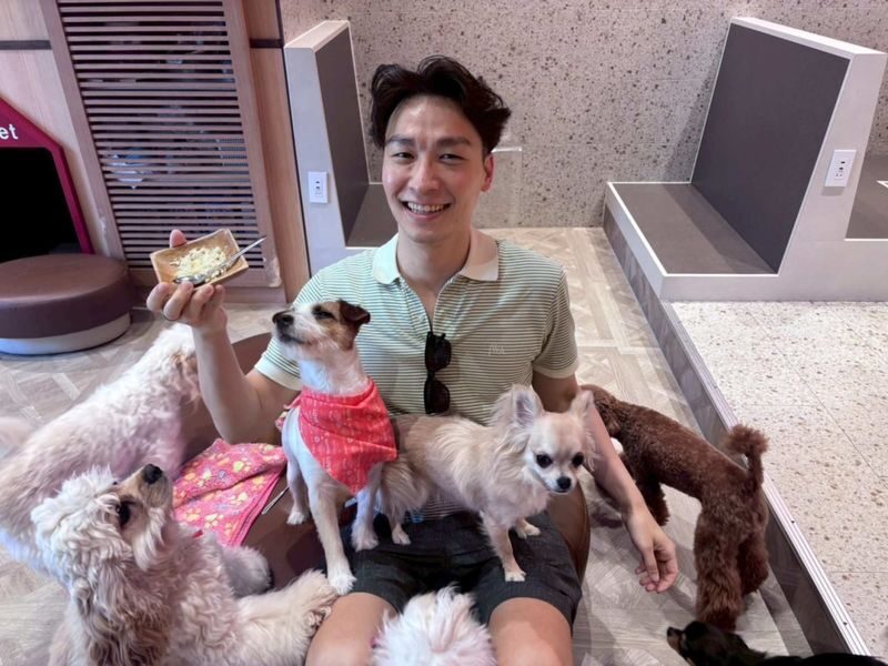 Play with Dogs at Dog Cafe Rio Kyoto[Dog Cafe Rio Kyoto] - A small indoor pause in the middle of Kyoto