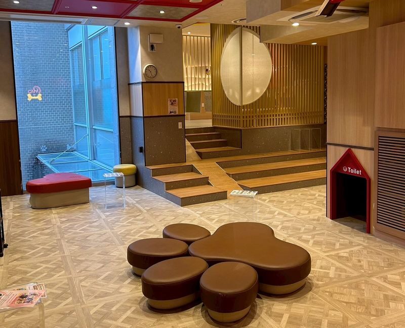 Play with Dogs at Dog Cafe Rio Kyoto[Dog Cafe Rio Kyoto] - What is included, and where extra costs can appear
