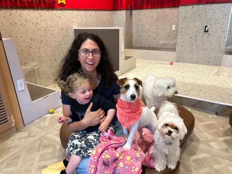 Play with Dogs at Dog Cafe Rio Kyoto[Dog Cafe Rio Kyoto] - How much time should you set aside?
