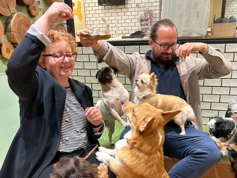 Play with Dogs at Dog Cafe Rio Shinjuku [Dog Cafe Rio Shinjuku] - At a glance