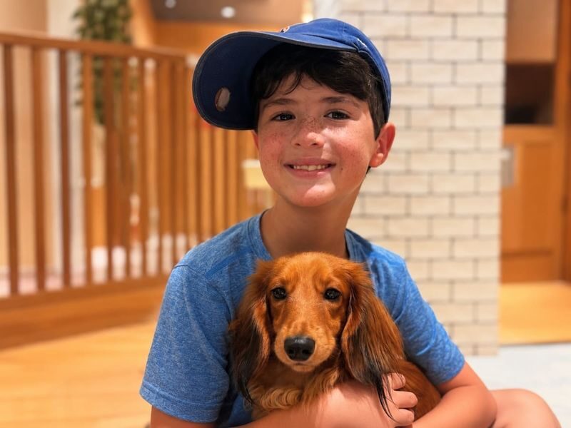 Play with Dogs at Dog Cafe Rio Shinjuku [Dog Cafe Rio Shinjuku] - A dog café break in the middle of Kabukicho